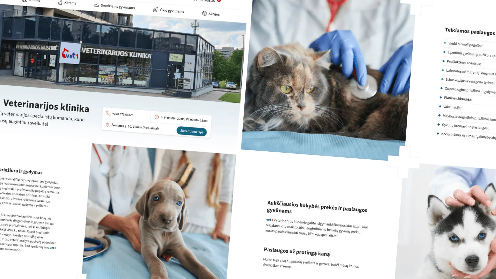 Vet1.lt veterinarijos paslaugų puslapis telefone
